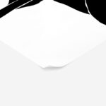 Πόστερ ABSTRACT BLACK AND WHITE FLOWER