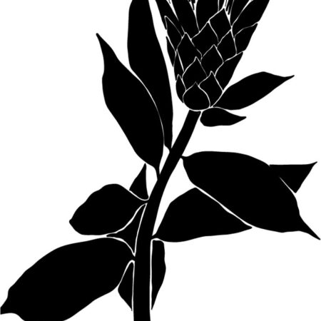 Πόστερ ABSTRACT BLACK AND WHITE FLOWER - Botanical - Λουλούδια Sticky 3