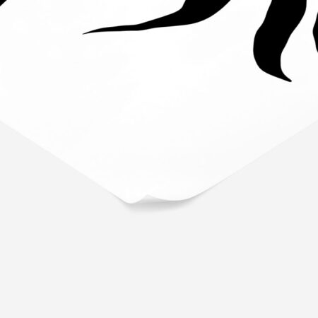 Πόστερ ABSTRACT BLACK AND WHITE ROSE - Botanical - Λουλούδια Sticky 2