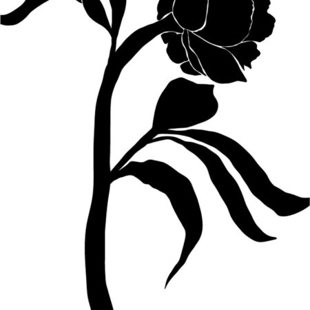 Πόστερ ABSTRACT BLACK AND WHITE ROSE - Botanical - Λουλούδια Sticky 3