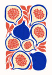 Πόστερ ABSTRACT FIGS