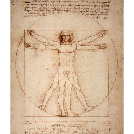 Πόστερ DA VINCI - VITRUVIAN MAN - Διασημοι Ζωγραφοι Sticky 3