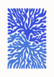 Πόστερ MATISSE STYLE CORAL
