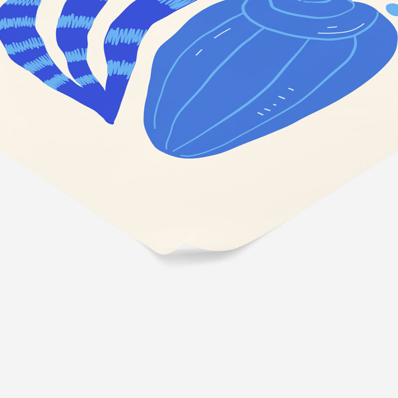 Πόστερ MATISSE STYLE SEASHELL 2