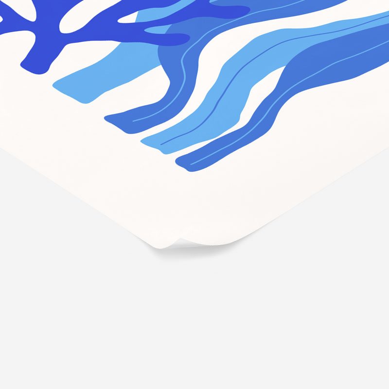 Πόστερ MATISSE STYLE SEASHELL 3
