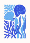 Πόστερ MATISSE STYLE SEASHELL 3