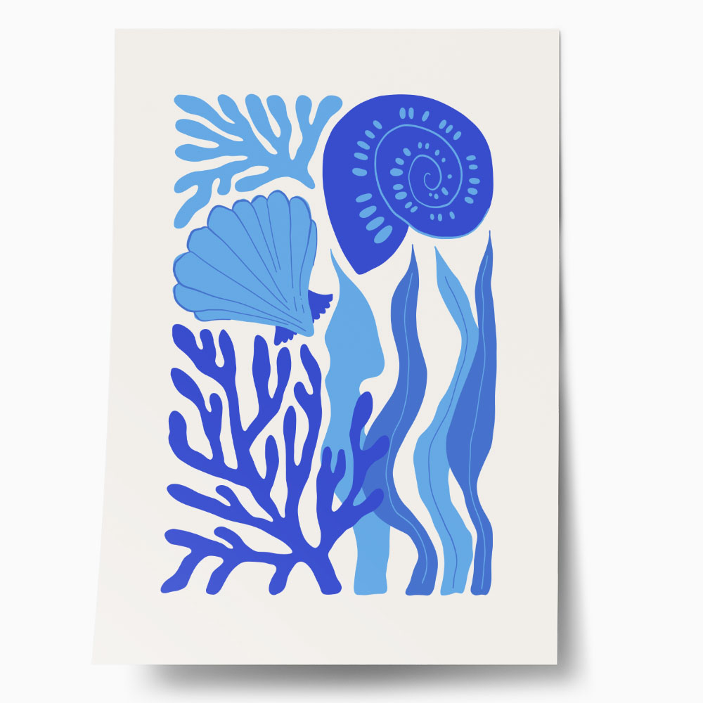Πόστερ MATISSE STYLE SEASHELL 3
