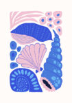Πόστερ MATISSE STYLE SEASHELL 4