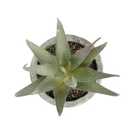 ΠΑΧΥΦΥΤΟ ALOE 21022 Τεχνητό Διακοσμητικό Φυτό Αλόη Μ6 x Π6 x Υ12cm - Μικρα Φυτά και Παχύφυτα Sticky 1
