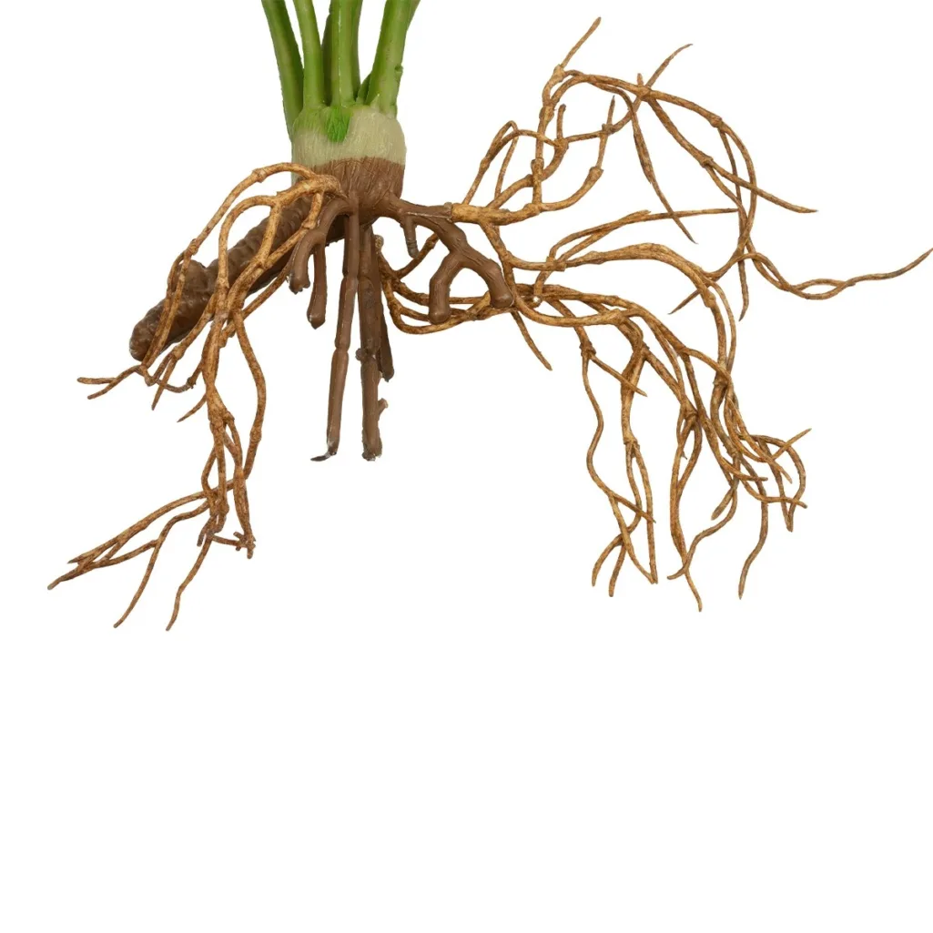 BEGONIA LEAVES ROOTED 21489 Τεχνητό Διακοσμητικό Φυτό Πολύχρωμη Βιγόνια Μ25 x Π14 x Υ35cm