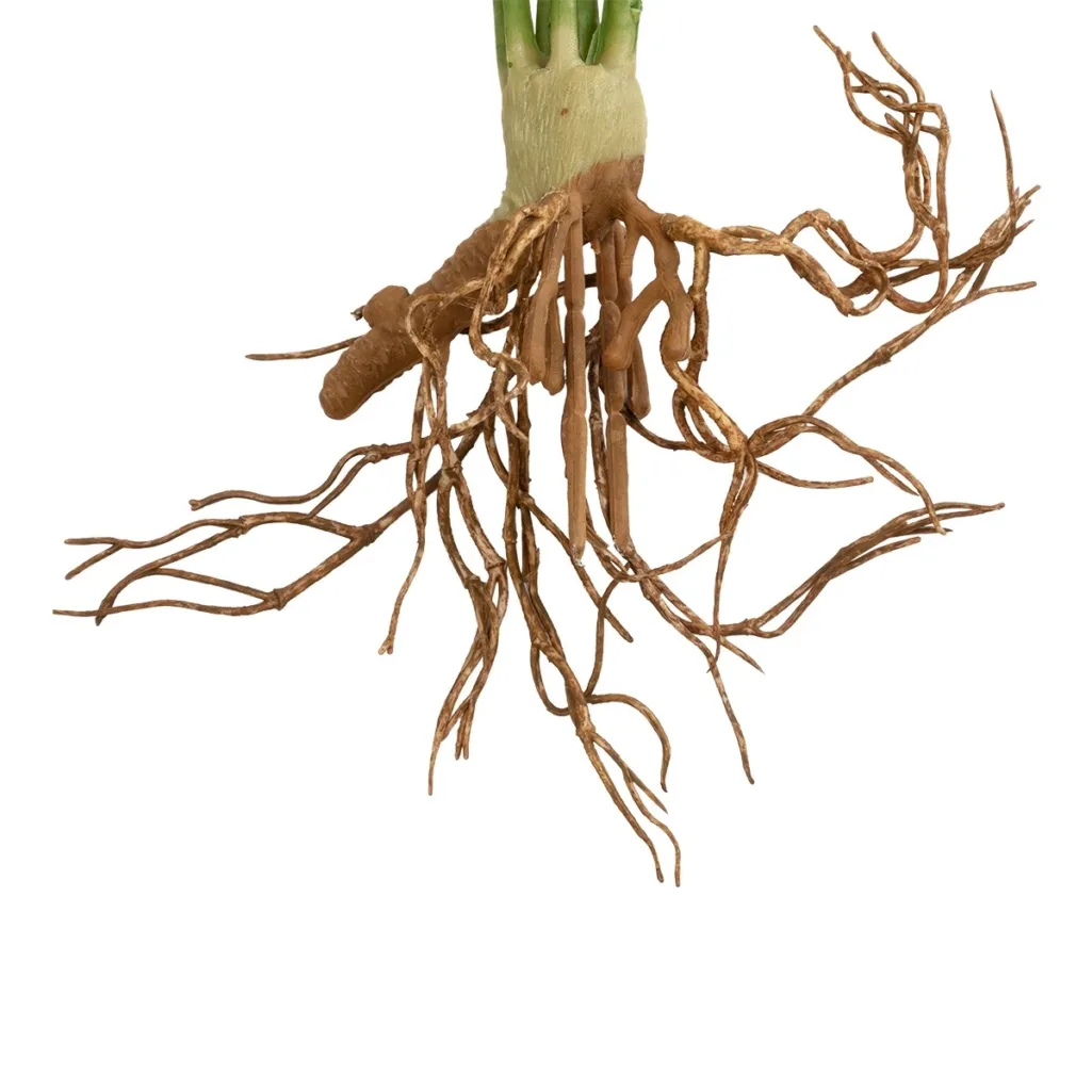 BEGONIA LEAVES ROOTED 21490 Τεχνητό Διακοσμητικό Φυτό Πολύχρωμη Βιγόνια Μ25 x Π14 x Υ35cm