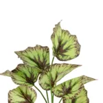 BEGONIA LEAVES ROOTED 21491 Τεχνητό Διακοσμητικό Φυτό Πολύχρωμη Βιγόνια Μ25 x Π14 x Υ35cm
