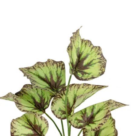 BEGONIA LEAVES ROOTED 21491 Τεχνητό Διακοσμητικό Φυτό Πολύχρωμη Βιγόνια Μ25 x Π14 x Υ35cm -  Sticky 1