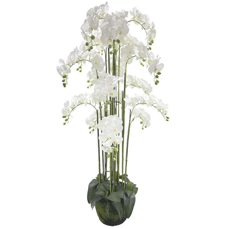 ΦΥΤΟ ΟΡΧΙΔΕΑ ΛΕΥΚΟ ΑΝΘΗ REAL TOUCH - Υ168cm