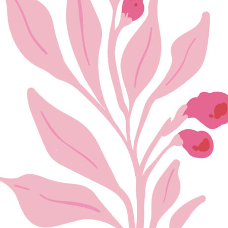 Πόστερ MATISSE STYLE BOTANICAL PINK FLOWERS - Botanical - Λουλούδια Sticky 3