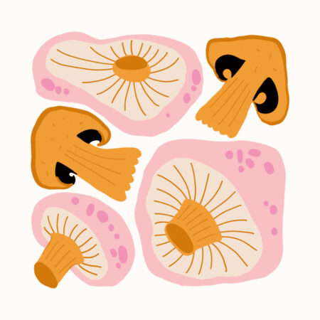 Πόστερ MATISSE STYLE MUSHROOMS - Food & Drink Sticky 3