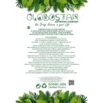 BEGONIA LEAVES ROOTED 21489 Τεχνητό Διακοσμητικό Φυτό Πολύχρωμη Βιγόνια Μ25 x Π14 x Υ35cm