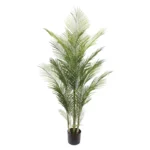ΔΕΝΤΡΟ ΦΟΙΝΙΚΑΣ PALM ΠΡΑΣΙΝΟ ΣΕ ΓΛΑΣΤΡΑ - Υ175cm