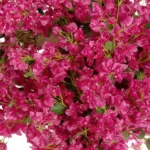BOUGAINVILLEA BLOSSOM 20672 Τεχνητό Διακοσμητικό Δέντρο Άνθος Μπουκαμβίλιας Μ230 x Π100 x Υ250cm