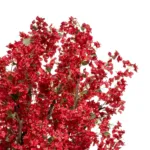 AZALEA TREE 21059 Τεχνητό Διακοσμητικό Δέντρο Αζαλέα Μ230 x Π230 x Υ300cm