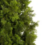 CYPRESS TREE 21060 Τεχνητό Διακοσμητικό Δέντρο Κυπαρίσσι Μ110 x Π110 x Υ250cm