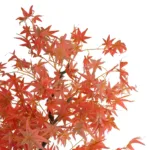 MAPLE TREE 21105 Τεχνητό Διακοσμητικό Δέντρο Σφένδαμος Μ80 x Π80 x Υ160cm