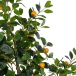 ORANGE TREE 21110 Τεχνητό Διακοσμητικό Δέντρο Πορτοκαλιά Μ110 x Π80 x Υ200cm