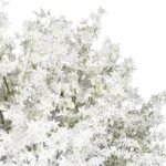 ALMOND TREE 21114 Τεχνητό Διακοσμητικό Δέντρο Αμυγδαλιά Μ380 x Π380 x Υ300cm