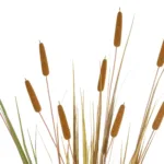 TYPHA GRASS 21484 Τεχνητό Διακοσμητικό Φυτό Γρασίδι της Τύφας Μ100 x Π35 x Υ180cm