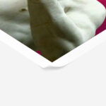 Πόστερ ALTERED ART DAVID BABY