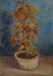 Πινακας σε καμβά VAN GOGH - BLUMENTOPF MIT BUNTNESSEL