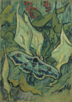 Πινακας σε καμβά VAN GOGH - GIANT PEACOCK MOTH