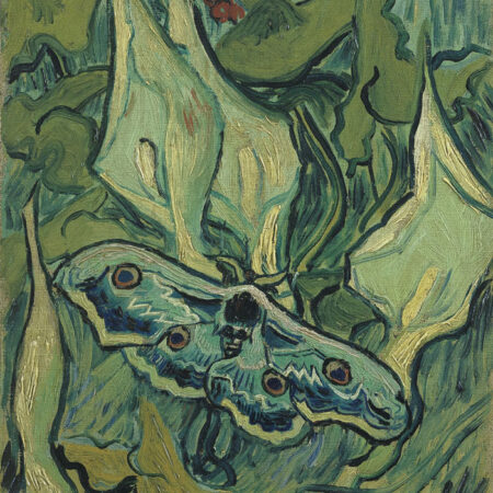 Πινακας σε καμβά VAN GOGH - GIANT PEACOCK MOTH - Vincent Van Gogh Sticky 5