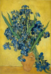 Πινακας σε καμβά VAN GOGH - IRISES 1890 B