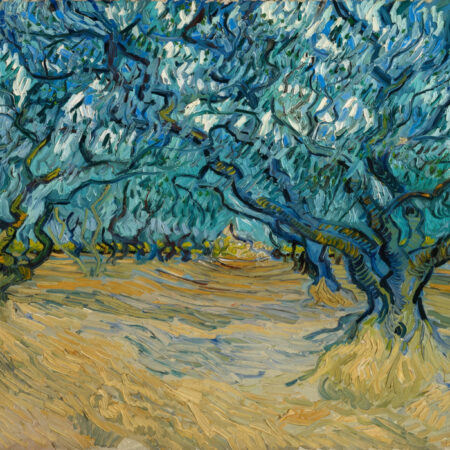 Πινακας σε καμβά VAN GOGH - THE OLIVE GROVE - Vincent Van Gogh Sticky 5