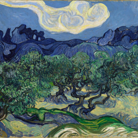 Πινακας σε καμβά VAN GOGH - THE OLIVE TREES - Vincent Van Gogh Sticky 6