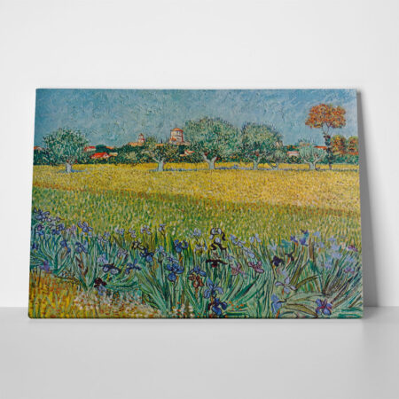 Πινακας σε καμβά VAN GOGH - VIEW OF ALES WITH IRISES IN BLOOM - Vincent Van Gogh