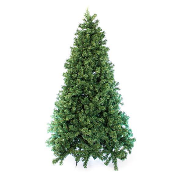 ΕΛΑΤΟ ΠΑΙΚΟ 270cm