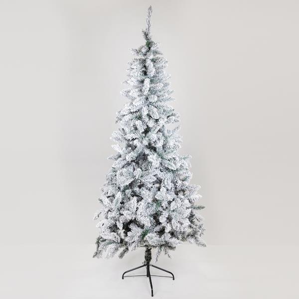 ΔΕΝΤΡΟ ΕΛΑΤΟ ΧΙΟΝΙΣΜΕΝΟ, ΣΚΩΤΙΑ, ΥΨΟΣ 240cm