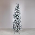 ΔΕΝΤΡΟ ΑΚΙΤΑ, ΥΨΟΣ 240cm