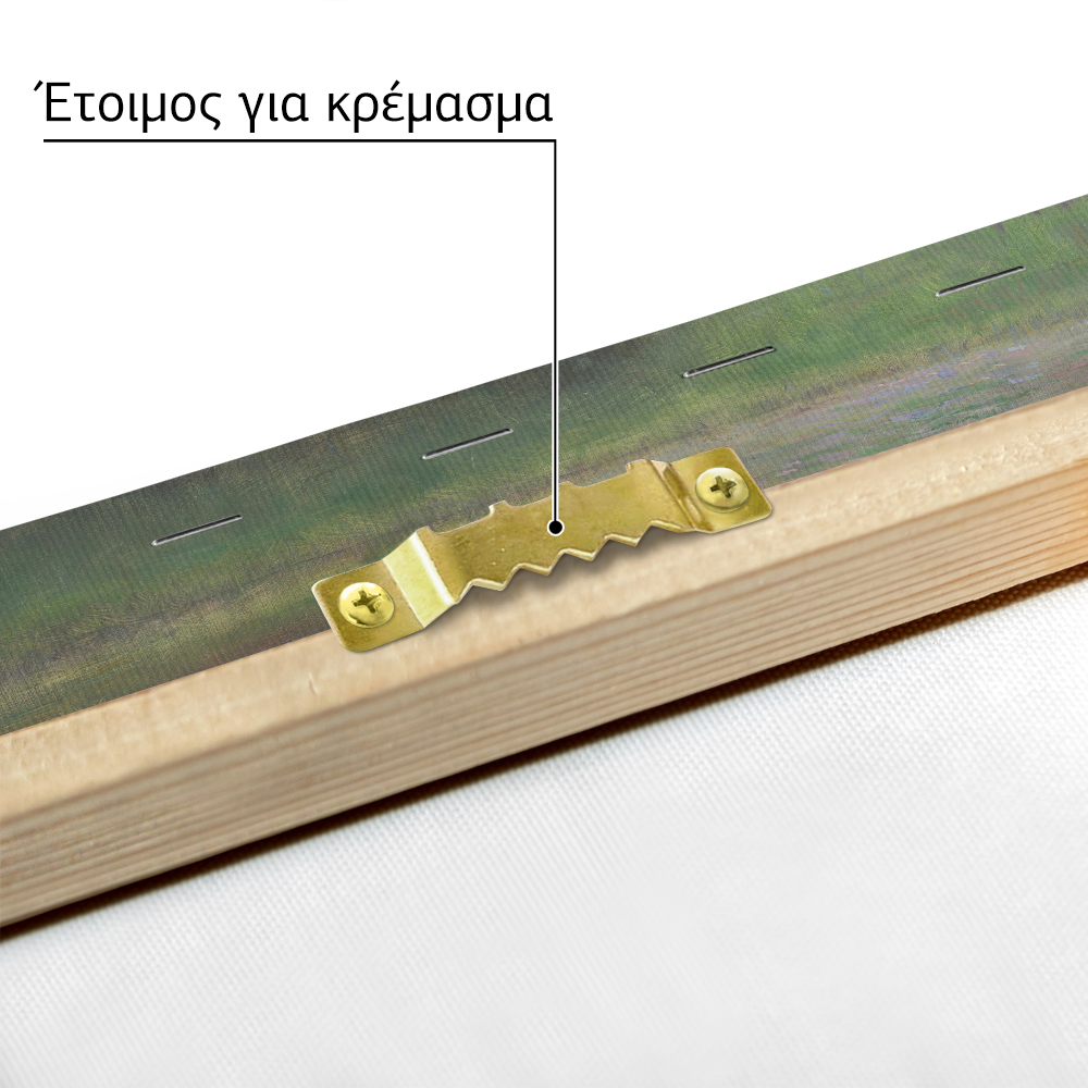 Πίνακας σε καμβά KLIMT - THE SWAMP