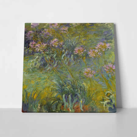 Πίνακας σε καμβά MONET - AGAPANTHUS - Monet Claude