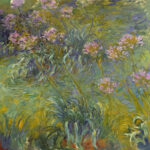 Πίνακας σε καμβά MONET - AGAPANTHUS