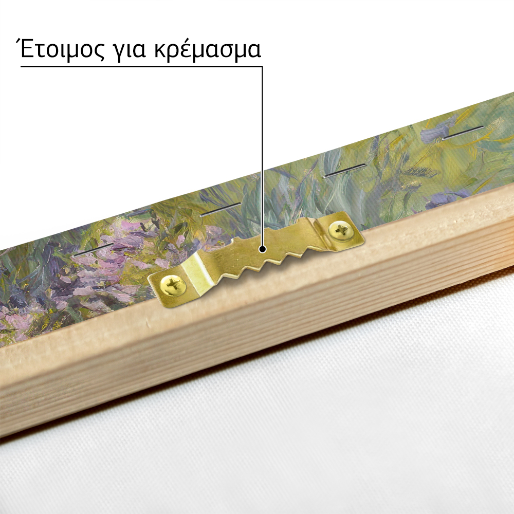 Πίνακας σε καμβά MONET - AGAPANTHUS