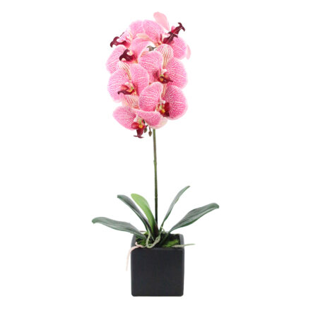 ORCHIDEA ΛΟΥΛΟΥΔΙ ΤΕΧΝΗΤΟ ΣΕ ΓΛΑΣΤΡΑ 63cm PEVA ΡΟΖ ΚΙΤΡΙΝΟ ΚΕΡΑΜΙΚΟ - Τεχνητες Ορχιδεες