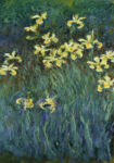Πινακας σε καμβά MONET - YELLOW IRISES