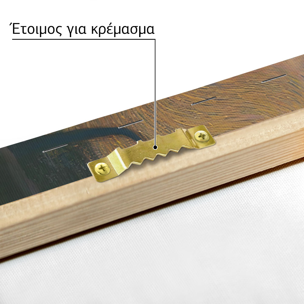 Πίνακας Πανοραμικός σε καμβά KLIMT - GOLDFISH PANORAMIC