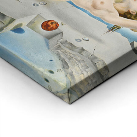 Πινακας σε καμβά DALI - DREAM CAUSE BY THE FIGHT OF A BEE - Salvador Dali Sticky 1