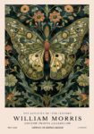 Πινακας σε καμβά WILLIAM MORRIS - BUTTERFLY 5