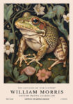 Πινακας σε καμβά WILLIAM MORRIS - FROG 1